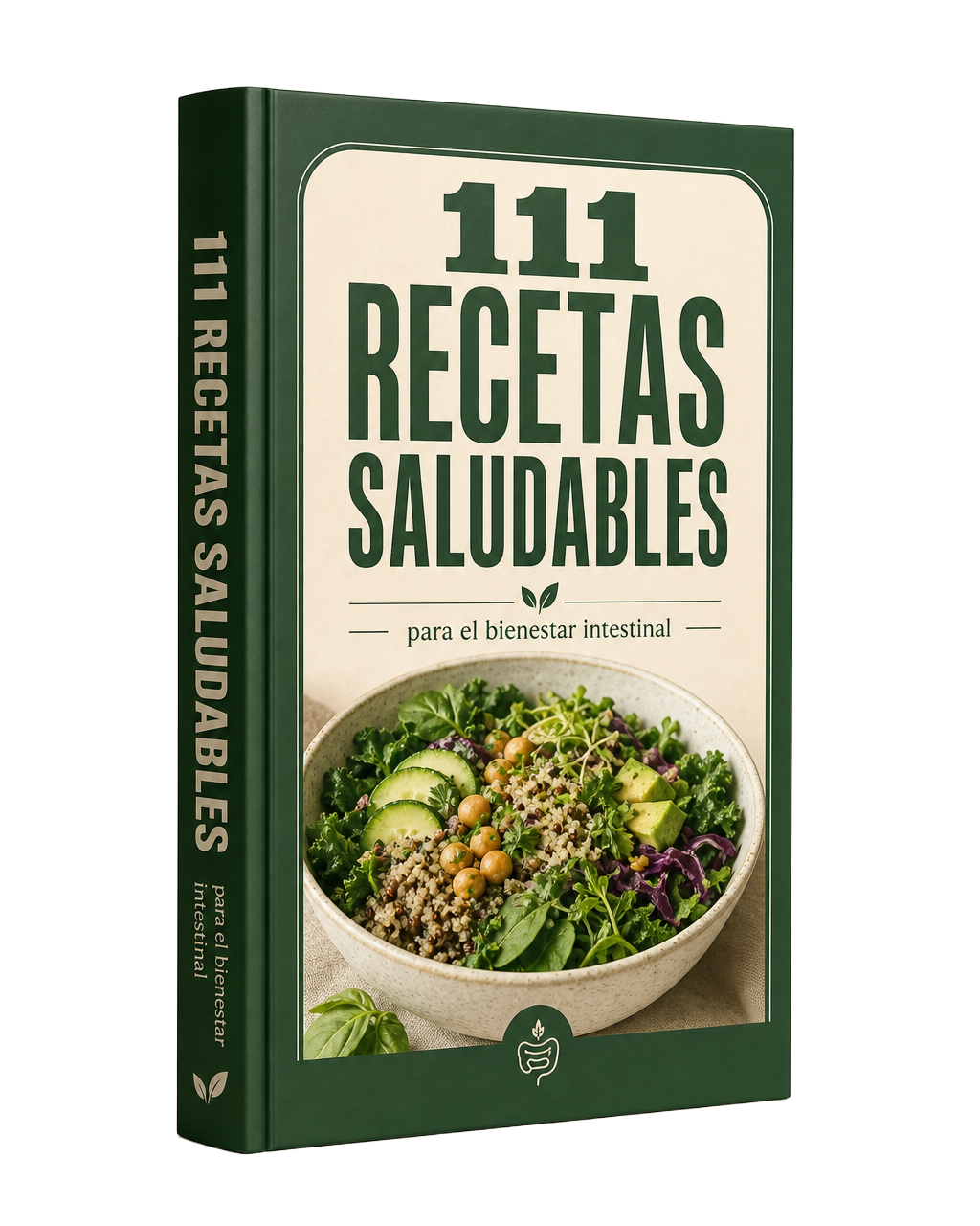 Ebook 111 Recetas Saludables para el bienestar intestinal